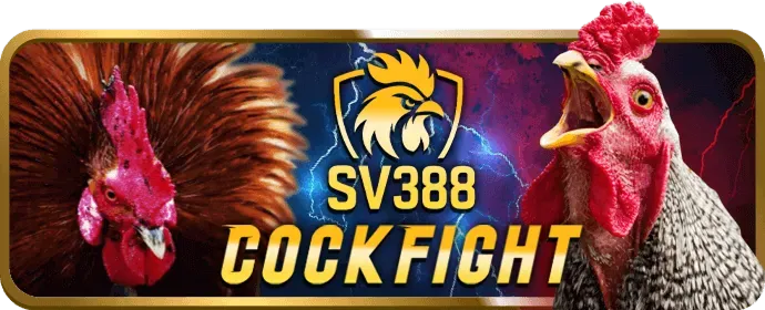 Ưu đãi độc quyền cho thành viên mới 88qq
